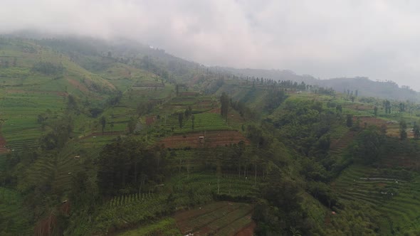 Tropical Landscape with Farmlands in Mountains