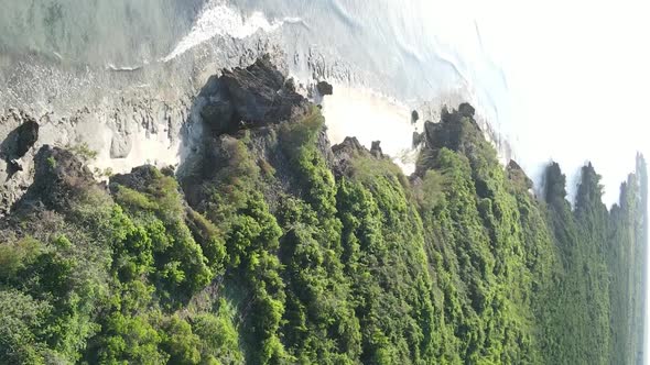 Zanzibar Tanzania  Ocean Shore Covered with Green Thickets Vertical Video Aerial View