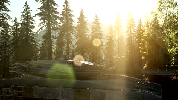 Old Rusty Tank in Forest alt