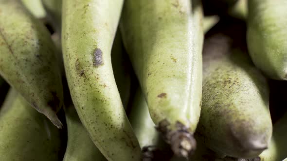 Very closeup detail shot of rotating freshly picked Fava beans in the pod.