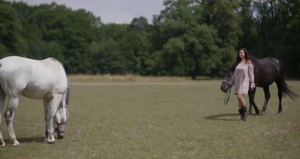 Woman Riding Horse on Farm. Recreation - Woman Walking with Horse