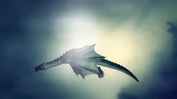 Dragon Flying Against The Wind In The Sky