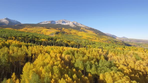 Fall colors in Crested Butte, Colorado