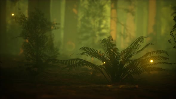 Firefly in Misty Forest with Fog alt