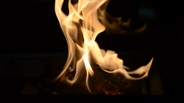 One Biofireplace Burn on Ethanol Gas