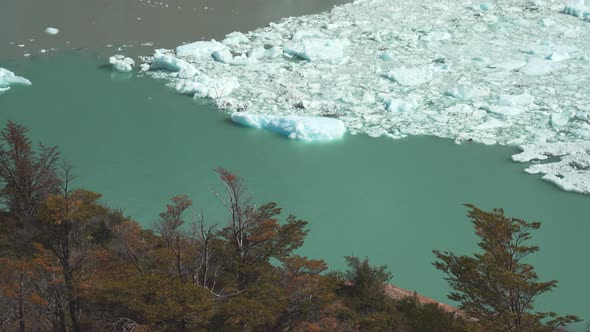 Small pieces of ice floating beside north part of Perito Moreno Glacier