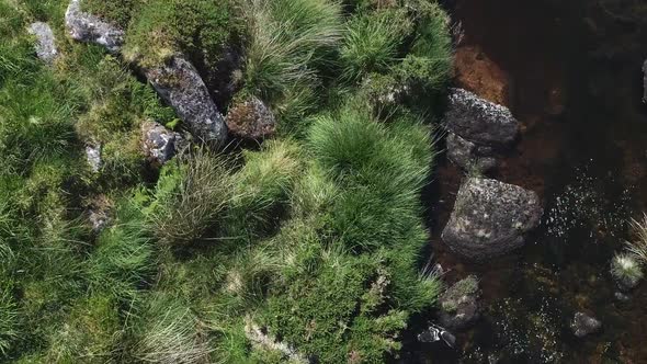 Birdseye close up aerial tracking forward of a rocky river surround by grassy moor foliage, Dartmoor