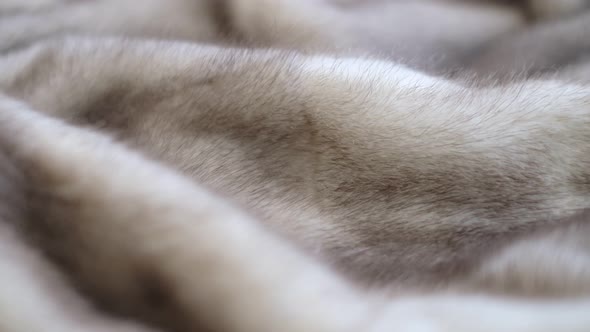 Luxurious Mink Fur Texture Closeup Background