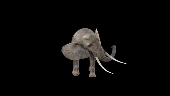 Elephant Attack Walk alt