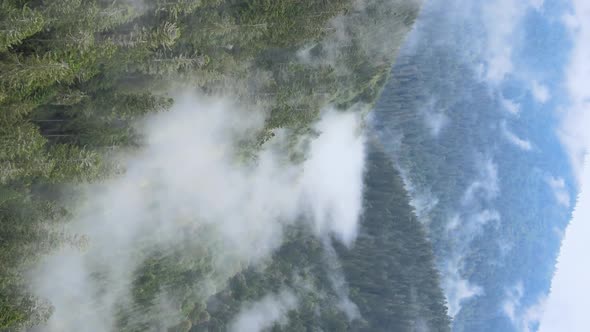 Vertical Video of Fog in the Mountains