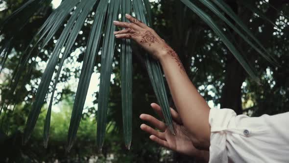 Close Up Shot of Woman's Hands Who Touches Palm Leaves with Tattoos on Her Hands