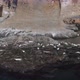 Seals on Ocean Rocks - VideoHive Item for Sale