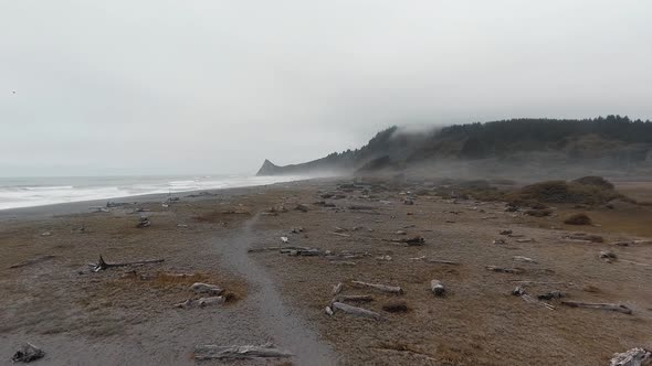 Footage of beach, waves fog and footpath at Sharp Point, Dry Lagoon State Park, California, USA