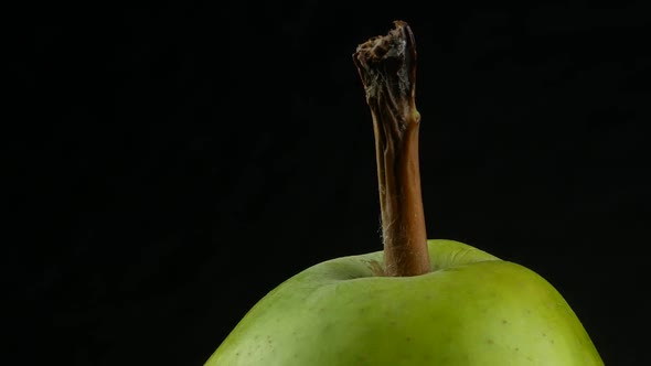 Green packham pear.