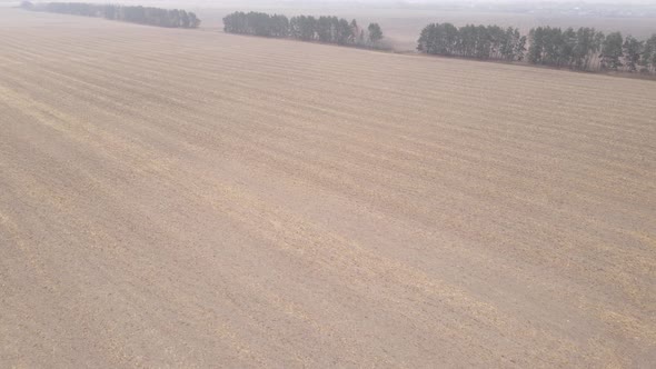 Land in a Plowed Field in Autumn