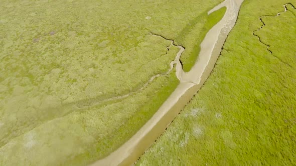 Abstract aerial view of wetlands landscape in the Netherlands.