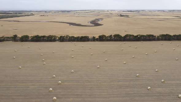 Aerial footage of rolled hay bales in a dry agricultural field