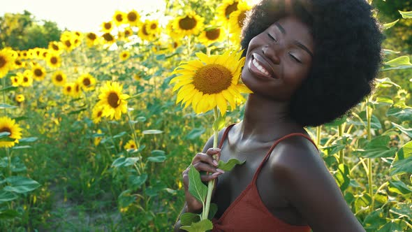 Farmers in a beautiful sunflower field