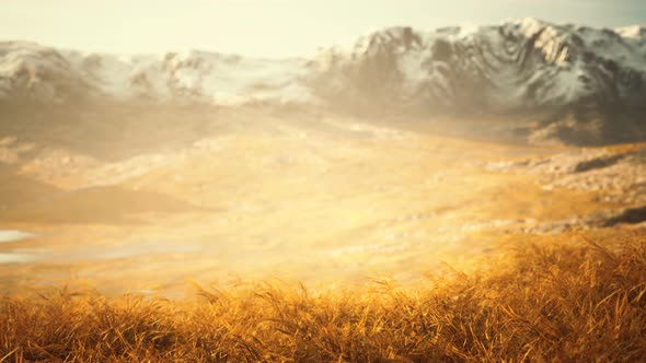 Dry Grass and Snow Covered Mountains in Alaska