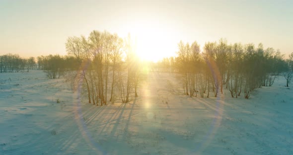 Aerial Drone View of Cold Winter Landscape with Arctic Field, Trees Covered with Frost Snow and