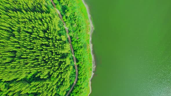 Drone flying over a pine tree in a beautiful lake