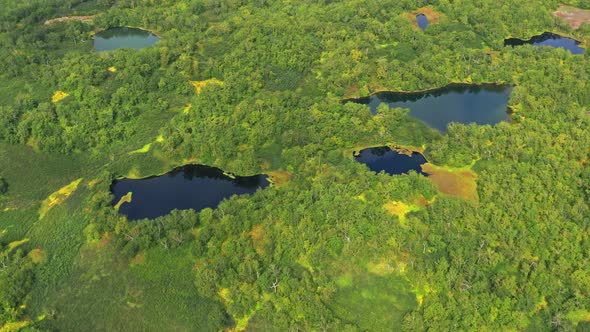 Aerial Top View of Blue Lakes in North Forest