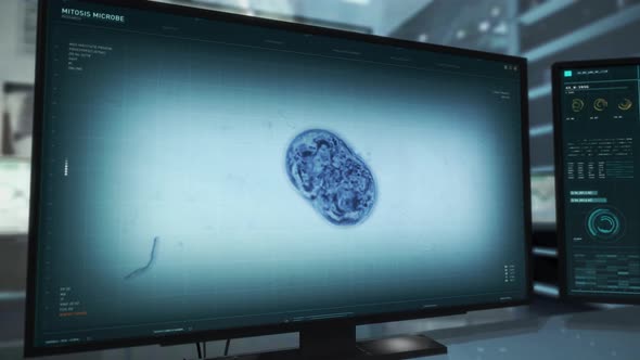 Microbe Organism Mitosis Research Animation On Futuristic Software Interface