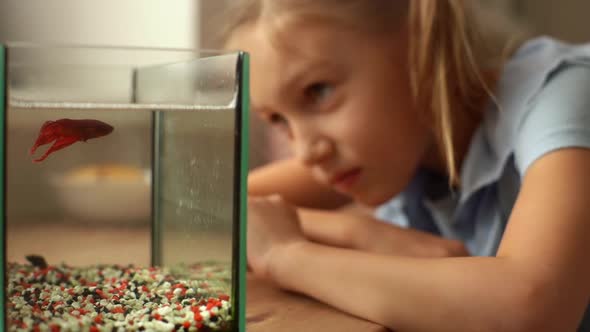 Closeup of Happy Funny Little Girl Watching Little Goldfish in Aquarium Playing with Fish Tapping on