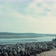 Sea pier - Baie de Canche (France) - VideoHive Item for Sale