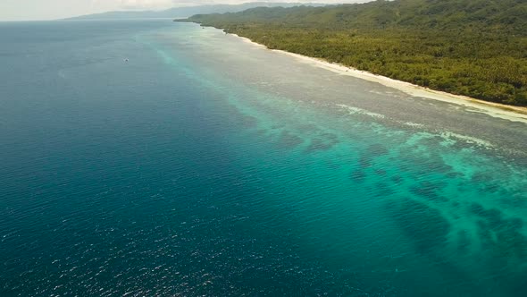 Tropical Beach and Turquoise Sea PhilippinesBohol