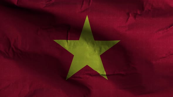 Vietnam Flag Textured Waving Background 4K
