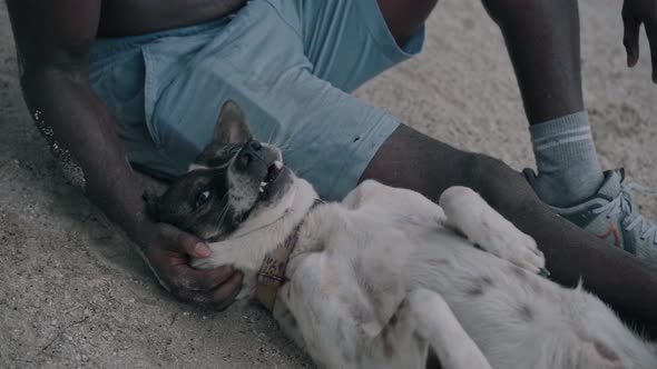 Young African American Man Playing with Dog on the Beach