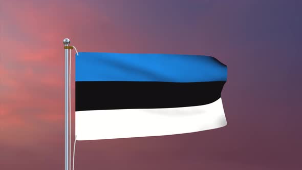 Estonia Flag 4k