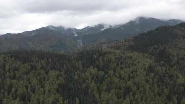 Landscape of the Carpathian Mountains. Slow Motion. Ukraine. Aerial. Gray, Flat