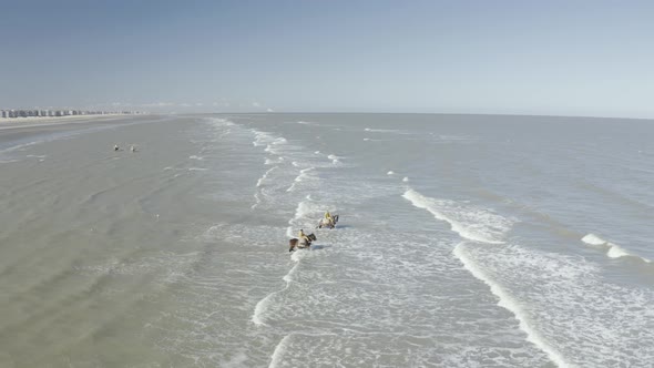 Aerial view of persons riding a horse, Vlaanderen, Belgium.