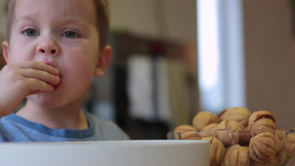 Hungry Little Child Kid Boy Eating Cookies Nuts Portrait Caucasian Baby Face