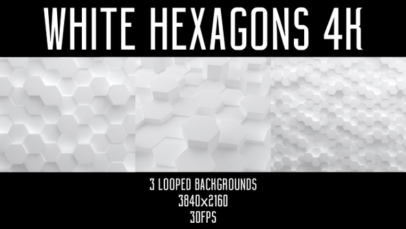 White Hexagons