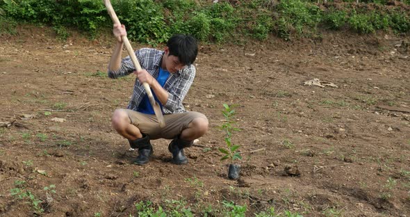 Man Digs A Hole In The Ground For Planting Trees