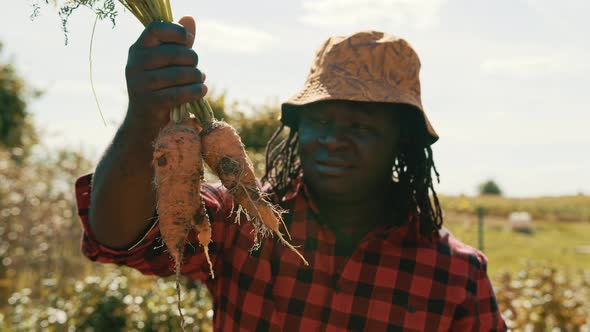 Young African Man, Farmer, Worker Holding in Hands Homegrown Harvest of Fresh Orange Carrots.