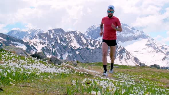 Mountain Runner On Flowers Of Flowers In Spring