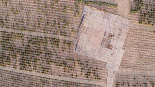 High Angle Drone Shot of a Large Christmas Tree Farm with Power Lines