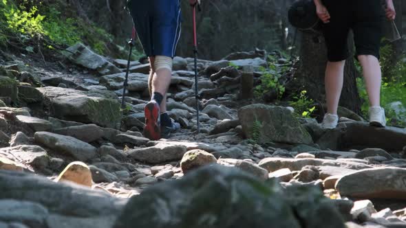 Couple of Tourists with Backpacks Climbing Up on Stone Trail in Mountain Forest