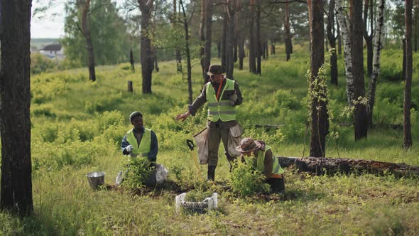 Diverse Ecologists Reforesting