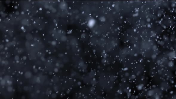 Snowflakes Falling at Night