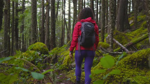 Girl Hiking on a Path in the Rain Forest During a Rainy Winter Season