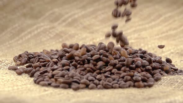 Coffee Beans Falling on the Sack