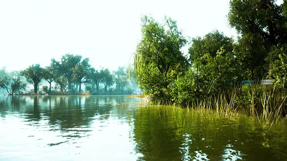 Pond of City Central Park in Summer Day