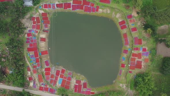 Aerial view of red chili field, Dhaka, Bangladesh.