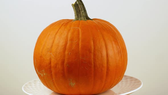 Halloween pumpkin with on a white background rotates 360. Close-up of an orange pumpkin.