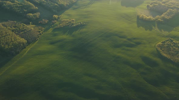 Aerial View of Green Summer Forest with Green Fields at Majestic Sunrise